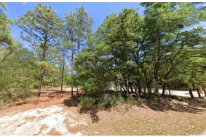 0 204th, Dunnellon, FL 34431 Sold 04/11/25