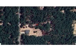 0 204th, Dunnellon, FL 34431 Sold 04/11/25