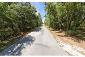 0 204th, Dunnellon, FL 34431 Sold 04/11/25