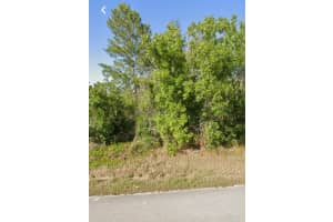 110 Devoe Avenue, Lake Placid, FL 33852 Sold 07/02/25