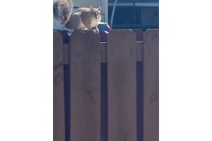 8047 Brindisi Lane, Boynton Beach, FL 33472 Sold 09/10/25