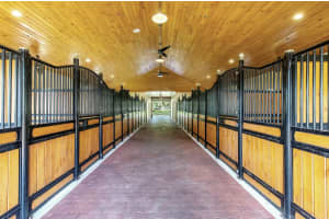 14943 Paddock Drive, Wellington