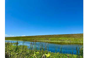 5646 Us Hwy 441, Okeechobee, FL 34974 - MLS#R11075506