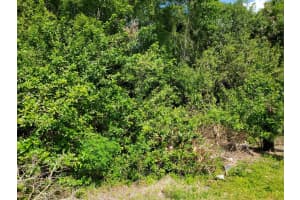 6805 NE 2nd Street, Okeechobee, FL 34974 - MLS#R11076111