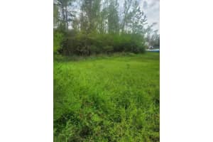 17196 Angle Street, Blountstown, FL 32424 Sold 05/07/25