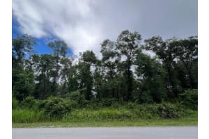 3307 E Lee Drive, Inverness, FL 34453 Sold 10/31/25