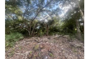 17774 254th Street, Okeechobee, FL 34972 - MLS#R11077113