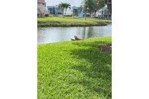 349 Flanders H, Delray Beach