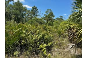 1003 13th Street Street, Lehigh Acres, FL 33972 - MLS#R11080743