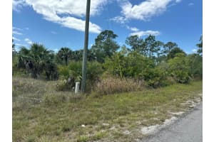 1003 13th Street Street, Lehigh Acres, FL 33972 - MLS#R11080743