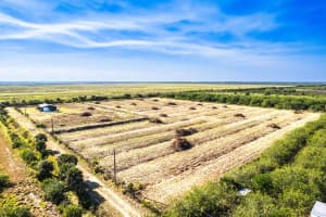 15350 111th Street, Fellsmere, FL 32948 Sold 02/11/26