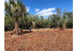 2182 Sparta Avenue, Palm Bay, FL 32908 - MLS#R11082590