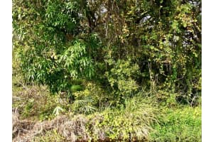 Tbd 37th Street, Fort Pierce, FL 34947 - MLS#R11082816