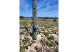 Lot 30 Fazzini Road, Lake Wales, FL 33898 - MLS#R11083088