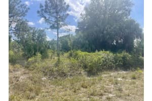 16796 NW 316th Street, Okeechobee, FL 34974 Sold 06/23/25