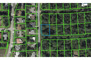 200 Colleen Lane, Lake Placid, FL 33852 - MLS#R11084399