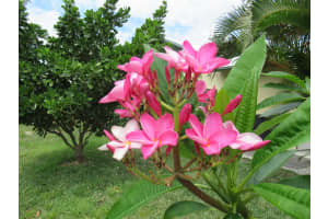 5832 SE Collins Avenue, Stuart, FL 34997 Sold 08/22/25