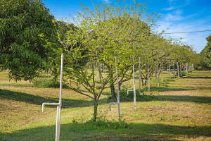 3057 D Road, Loxahatchee Groves, FL 33470 - MLS#R11084753