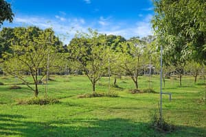 3057 D Road, Loxahatchee Groves, FL 33470 - MLS#R11084753