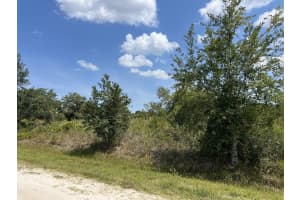 20968 NW 264 Street, Okeechobee, FL 34972 Sold 07/10/25