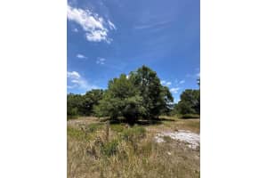 20213 Nw Nw 258th Street Street, Okeechobee, Fl 34972 Okeechobee, FL 34972 Sold 07/15/25