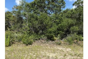 Tbd SW 30th Terrace Road, Ocala, FL 34473 - MLS#R11088086