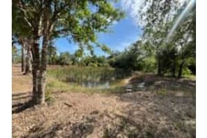 16642 NW 286th Street, Okeechobee, FL 34972 Sold 09/30/25