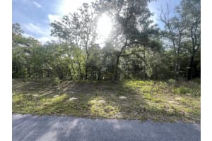 1321 W Delores Drive, Citrus Springs, FL 34434 Sold 08/25/25