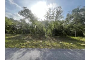 1321 W Delores Drive, Citrus Springs, FL 34434 Sold 08/25/25