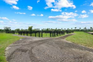 16175 Deer Path Lane Season, Wellington, FL 33470 Sold 08/01/25