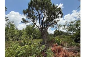 Tbd Snug Street, North Port, FL 34286 - MLS#R11090034