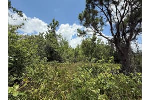 Tbd Snug Street, North Port, FL 34286 - MLS#R11090034