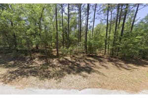 0 SW 201st Circle, Dunnellon, FL 34431 Sold 06/30/25