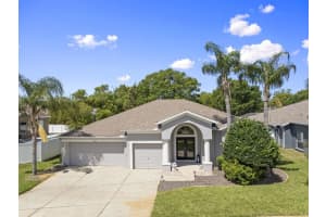 4205 Mast Court, Land O Lakes, Fl 34639, Land O Lakes