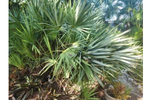 910 Mckee Lane, Delray Beach, FL 33483 Sold 06/26/25