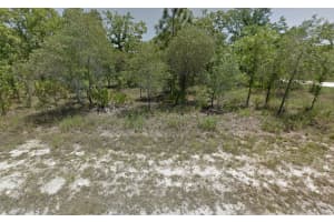 Tbd Filbert Road, Weeki Wachee, FL 34614 Sold 07/09/25