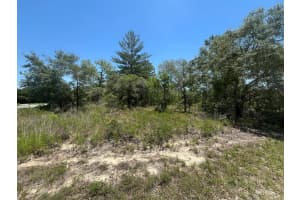 Tbd Filbert Road, Weeki Wachee, FL 34614 Sold 07/09/25
