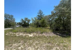 Tbd Filbert Road, Weeki Wachee, FL 34614 Sold 07/09/25