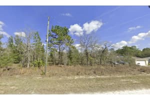 Tbd Cliff Swallow Road, Weeki Wachee, Fl 34614 Weeki Wachee, FL 34614 Sold 06/12/25