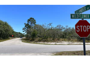 3153 Oleander Drive, Lake Placid, FL 33852 - MLS#R11091656