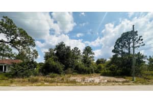 253 Joppa Avenue, Lake Placid, FL 33852 - MLS#R11092024