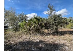 14667 294th Street, Okeechobee, FL 34972 - MLS#R11092288