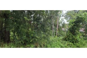 112 Ryberry Drive, Palm Coast, FL 32164 - MLS#R11092410