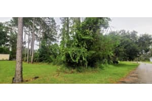 112 Ryberry Drive, Palm Coast, FL 32164 - MLS#R11092410