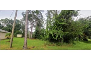 112 Ryberry Drive, Palm Coast, FL 32164 - MLS#R11092410