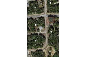 11064 N Academy Drive, Citrus Springs, FL 34434 Sold 12/23/25