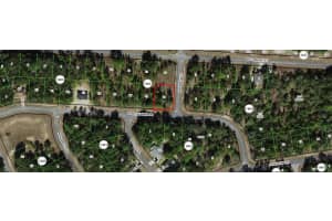 1975 Shellbark Drive, Citrus Springs, FL 34434 - MLS#R11093968