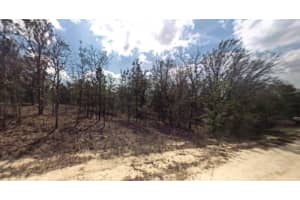 16863 Sw 57th Place, Ocala