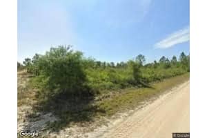 3029 W Hasbrouck Road, Avon Park, FL 33825 - MLS#R11094203