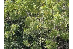 MLS# R11094967, Fort Pierce, Florida 34949